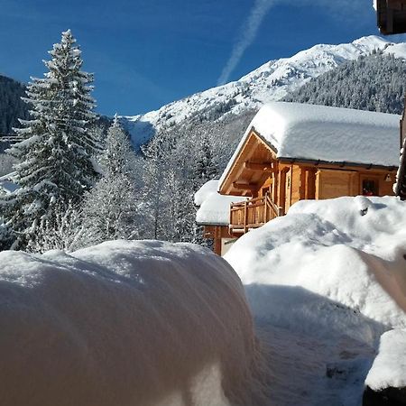 Вілла Le Refuge Des Marmottes Ареш Екстер'єр фото