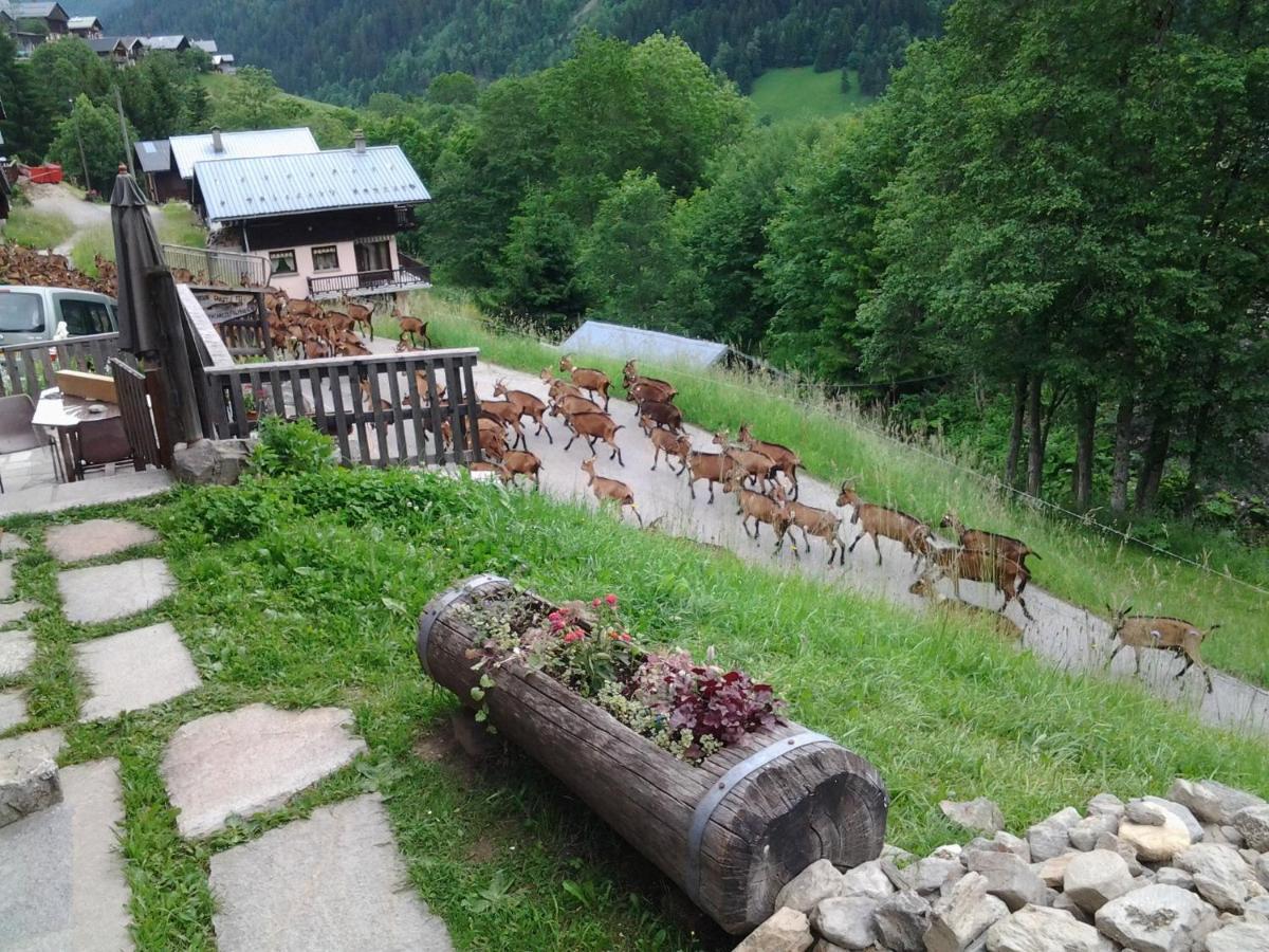Вілла Le Refuge Des Marmottes Ареш Екстер'єр фото