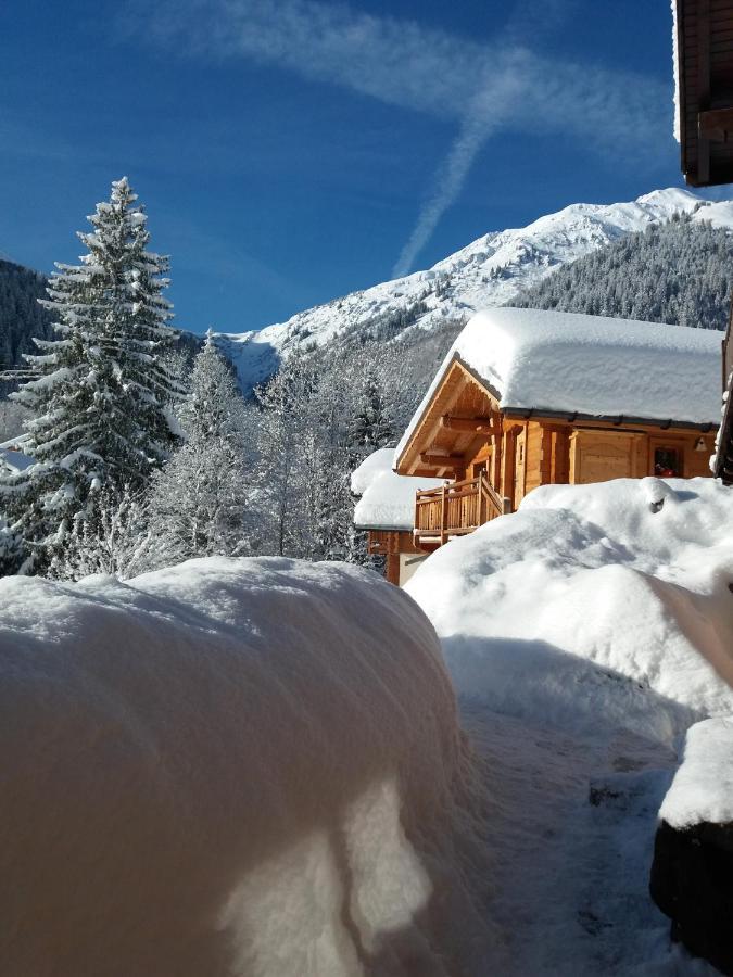 Вілла Le Refuge Des Marmottes Ареш Екстер'єр фото