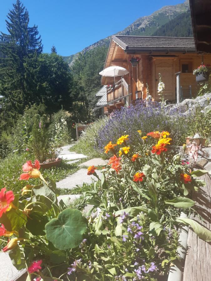 Вілла Le Refuge Des Marmottes Ареш Екстер'єр фото
